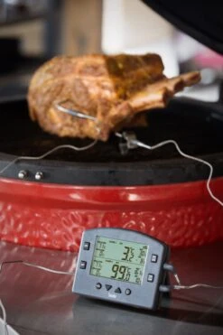 THERMAPEN SMOKE - Wireless Barbecue Thermometer -Lodge Store 825 070Smoke3