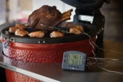 THERMAPEN SMOKE - Wireless Barbecue Thermometer -Lodge Store 825 070Smoke4