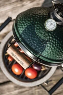 Big Green Egg Mini - Barbecue A Carbone -Lodge Store BGE ALGE aph06