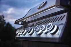 Napoleon Rogue RSE 625 RSIB - Barbecue A Gas 17 Napoleon Rogue RSE 625 RSIB - Barbecue A Gas -Lodge Store RSE625RSIBPSS 1 Web Gallery 08 Rogue RSE625RSIBPSS Life Detail Knob lights 2